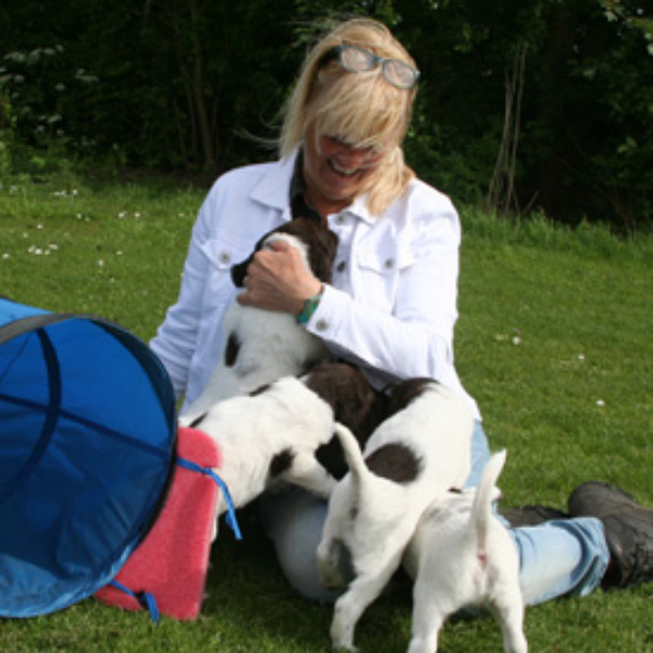 cursus-coach-les.webp