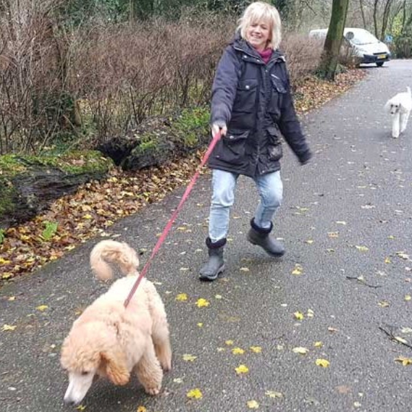 cursus-wandelen-z-trekken.webp