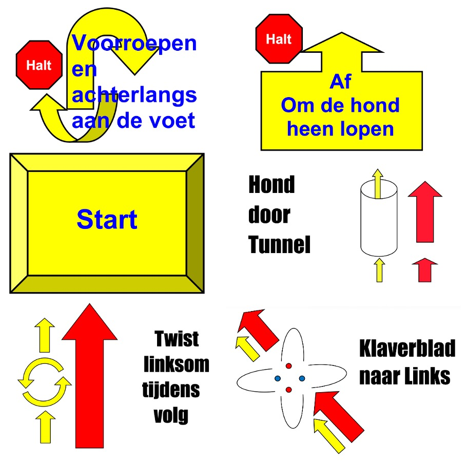 logo-rally-o.jpg