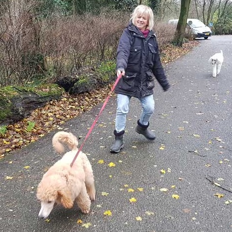 ontspannen-wandelen.jpeg