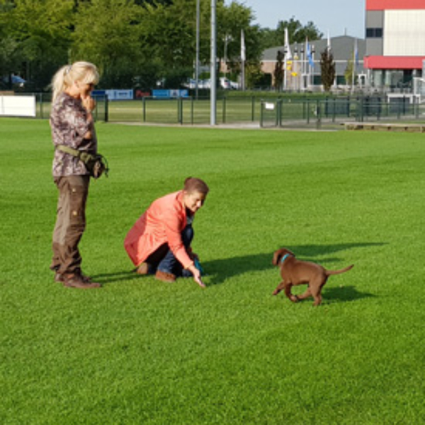 pup-gaat-los.webp