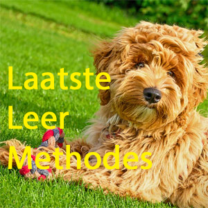 puppystartcursus04-02.webp