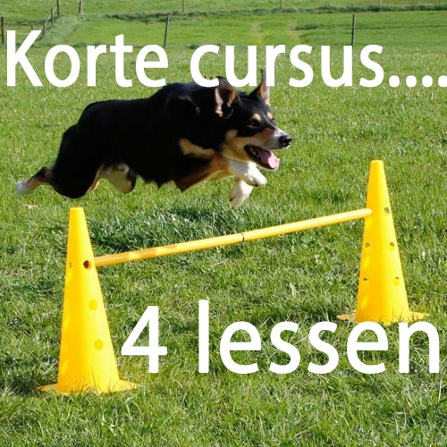 sportief-spel-1b.webp