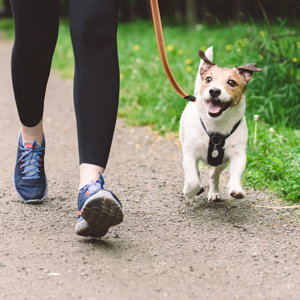 thema-wandelen-02.webp